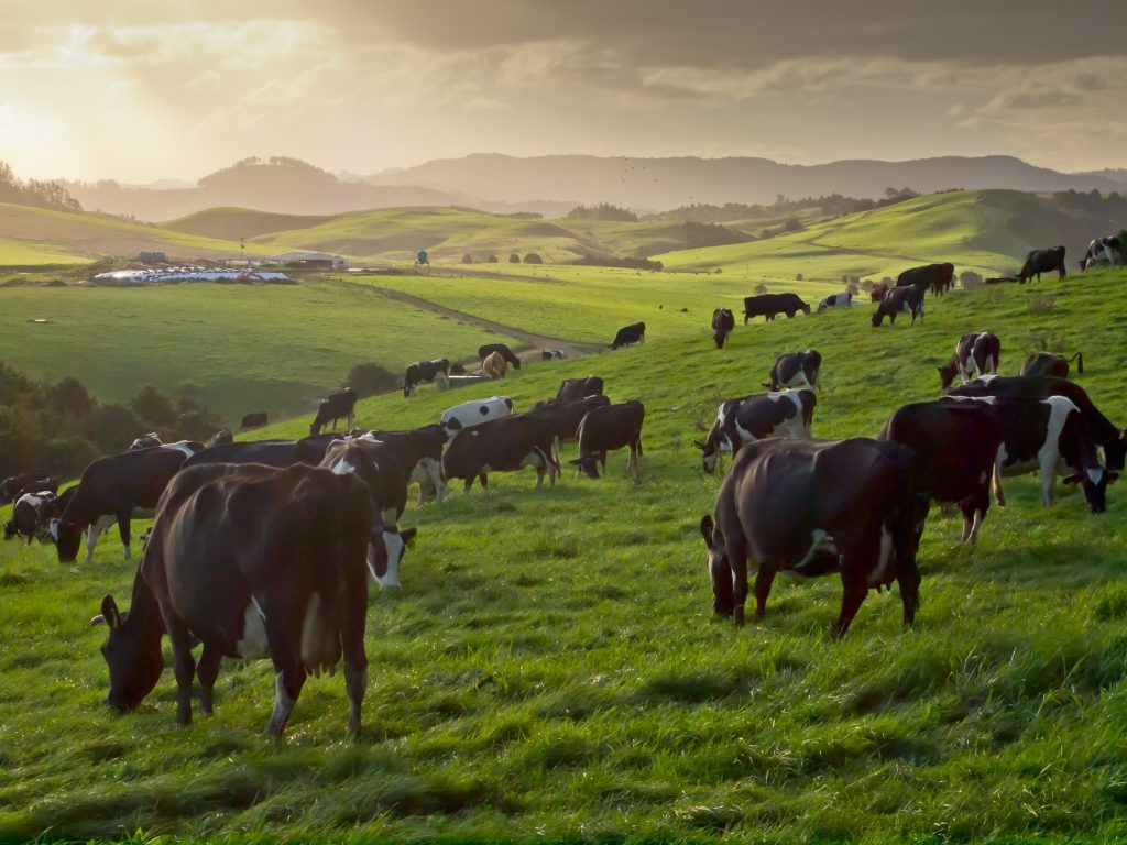 Annual global milk supply forecast to increase by 2.2% in 2026