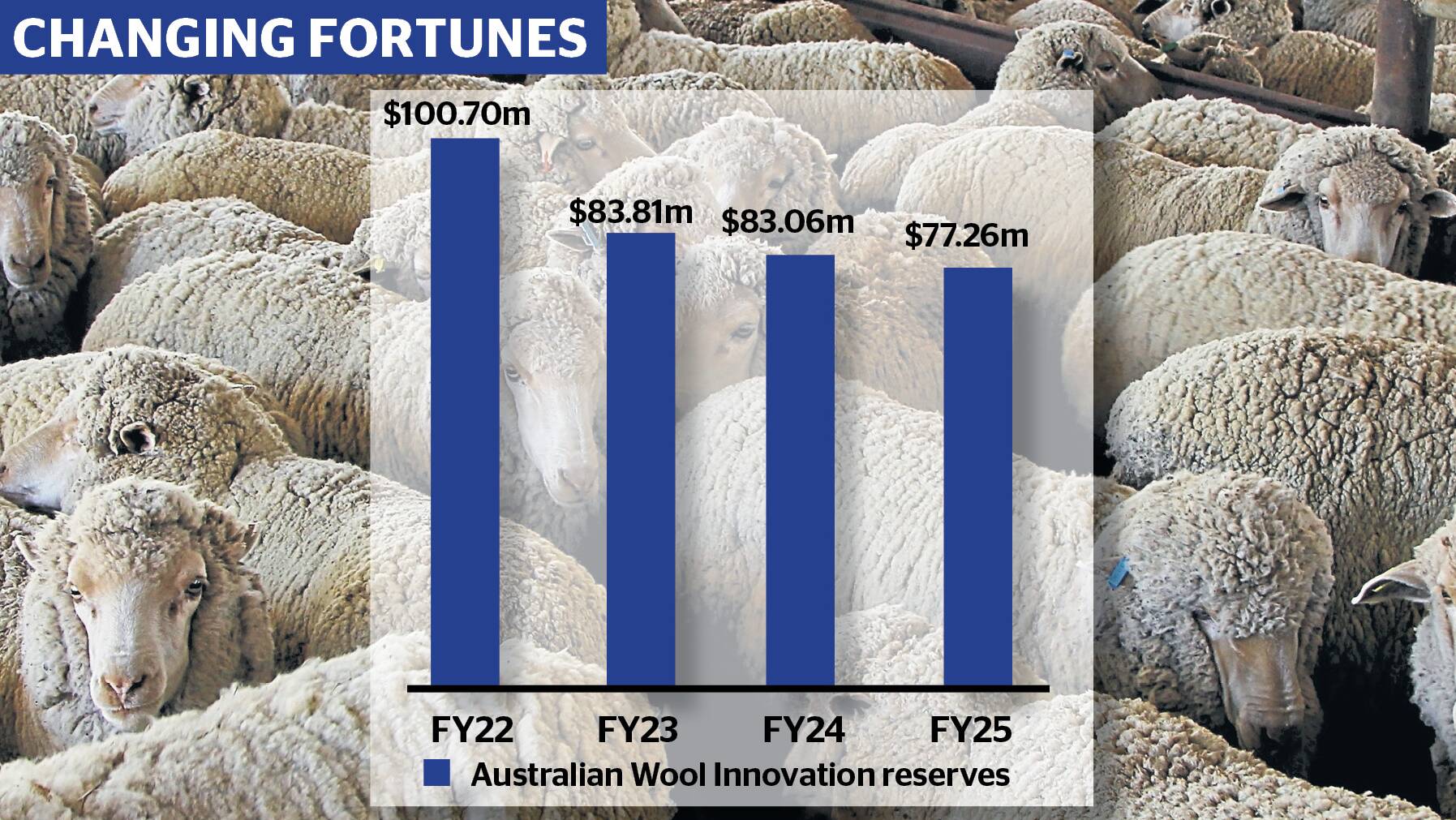 AWI wool levy revenue gains boost company reserves first