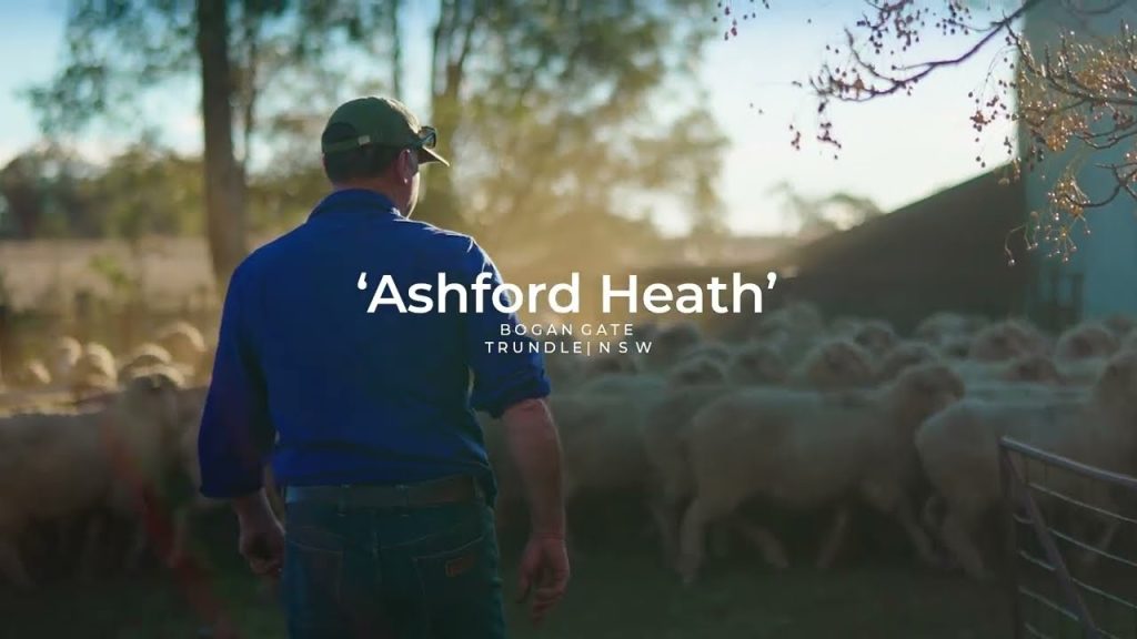 Central west NSW property Ashford Heath sells to recycler