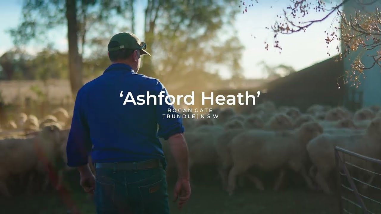 Central west NSW property Ashford Heath sells to recycler