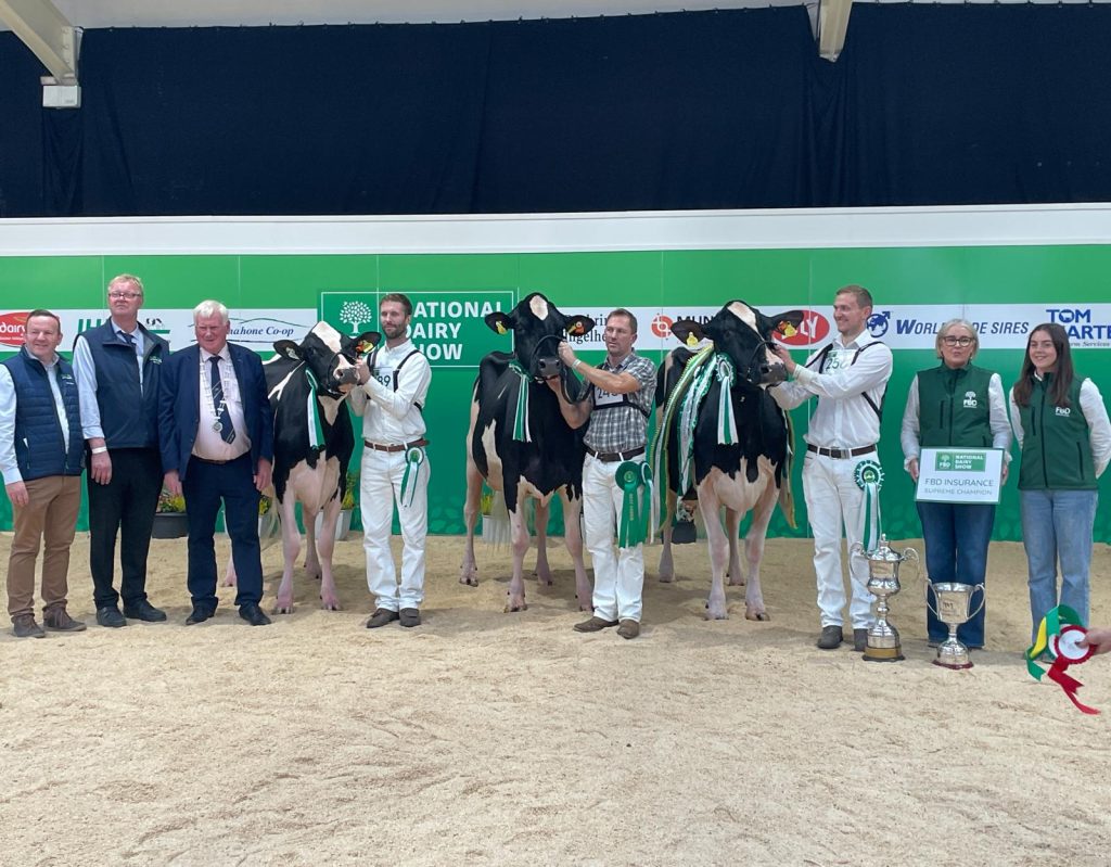 Eedy Doorman Fame makes history at FBD National Dairy Show