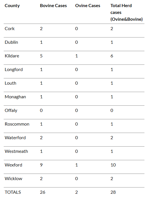 Further bluetongue cases confirmed in Ireland