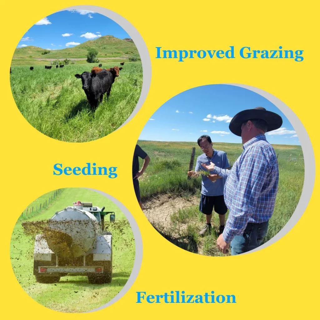 Rural listings feature quality grazing, cropping and carbon options