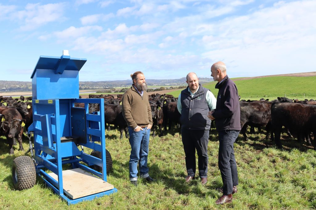 Tasmania’s Low Emissions Livestock project to include Merino sheep