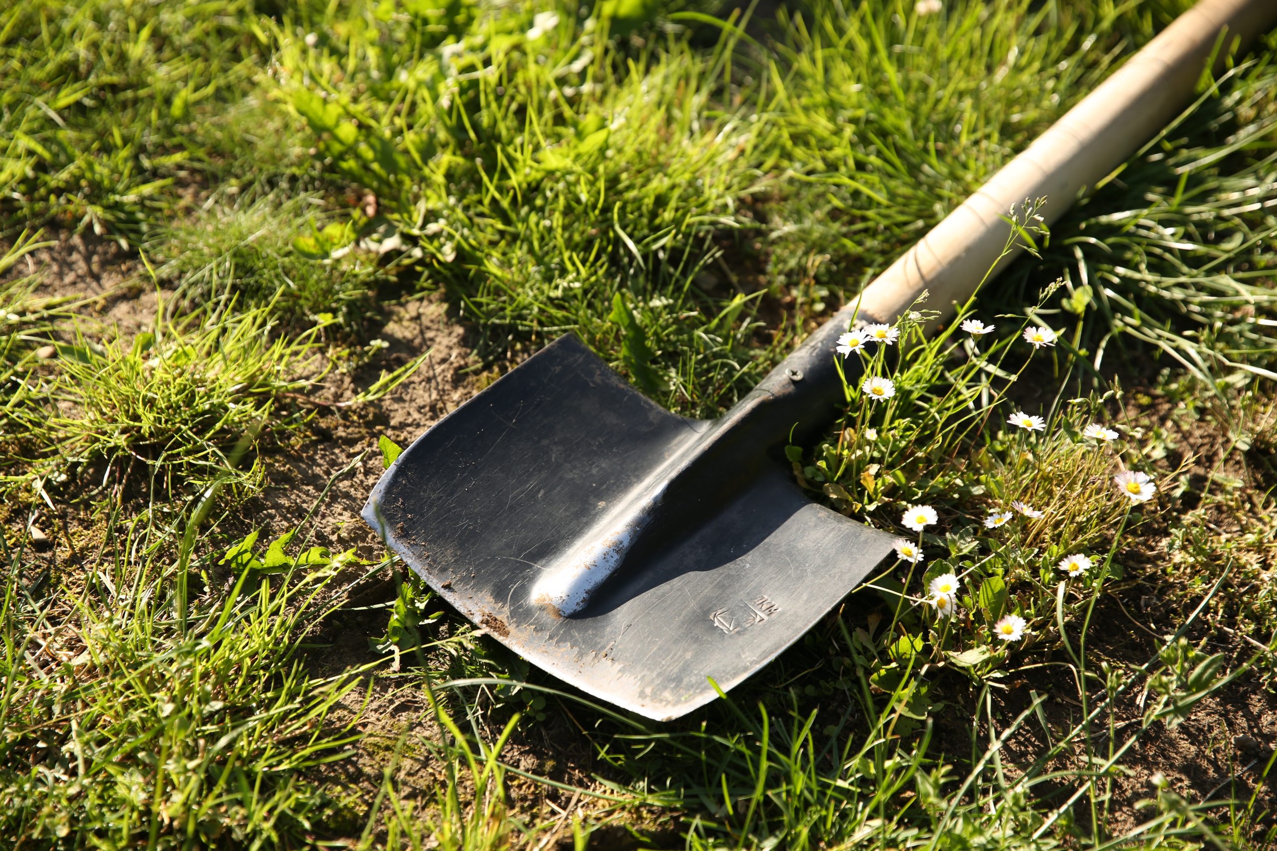 Turf cutting scheme audit: Bog plot owner paid €130,000 for ‘expertise’