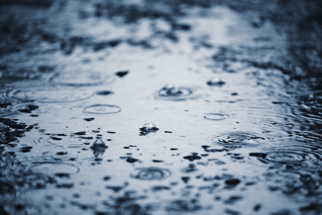 Weekend weather: Mixed and mild with rain and wind