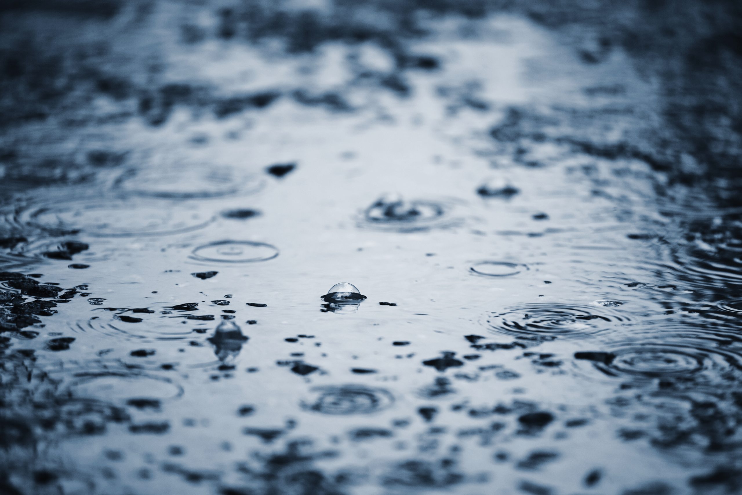 Weekend weather: Mixed and mild with rain and wind